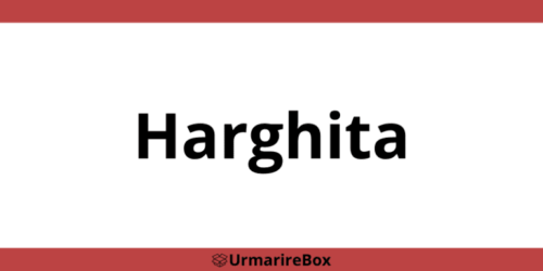 Contact telefon depozit Sameday Harghita