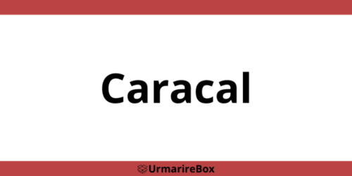 Contact telefon depozit Sameday Caracal