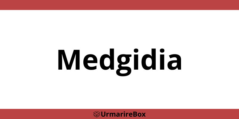 Contact telefon depozit Sameday Medgidia