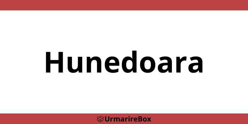 Contact telefon depozit Sameday Hunedoara